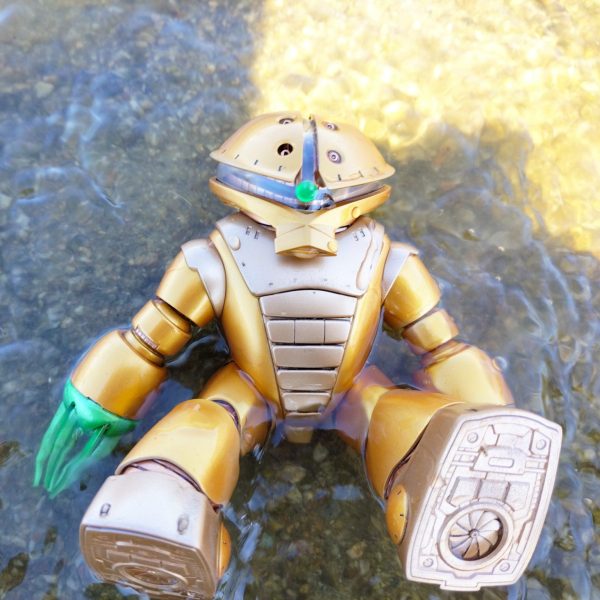 金色の妖精　アッガイさん