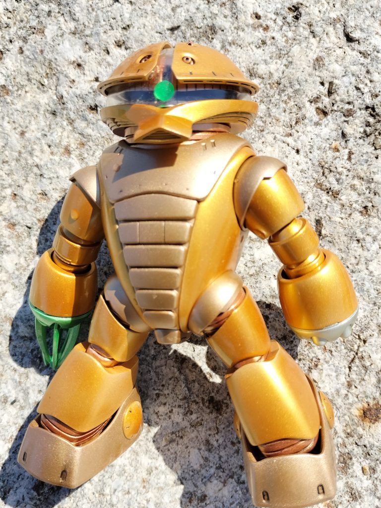 岩場で甲羅干し。日焼けする～