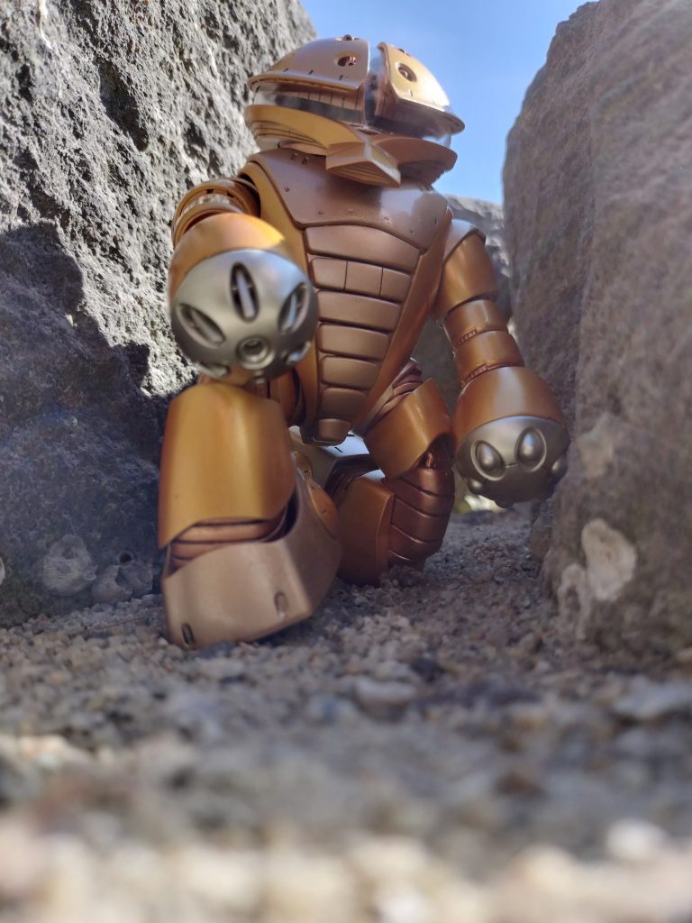 休憩中～岩の隙間が落ち着く～何か本能に訴えるモノがあります。