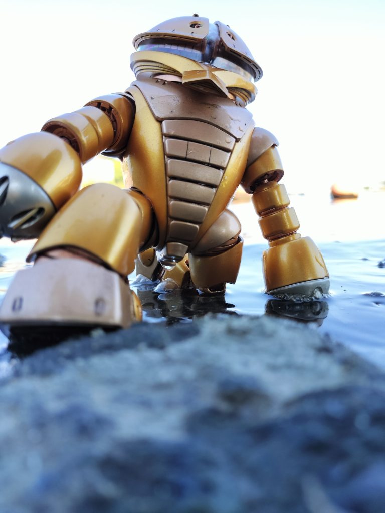 上陸成功。少し自慢げ。