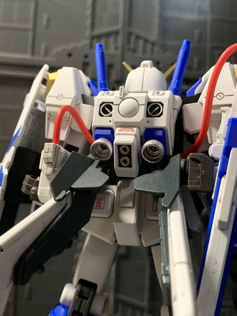 バックショットです。