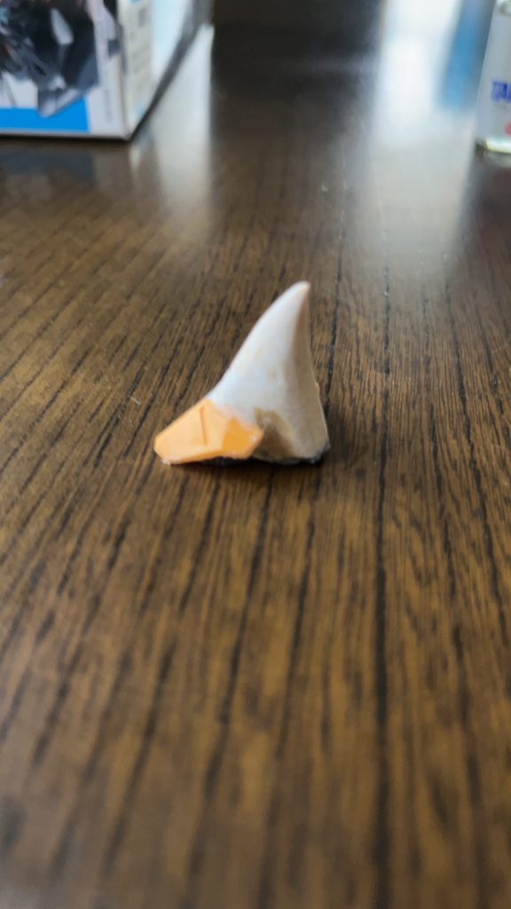 特に大きな改造はしていません。