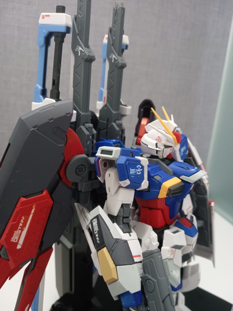 スーパーダイナミック肩塗り忘れ(*´ω｀*)