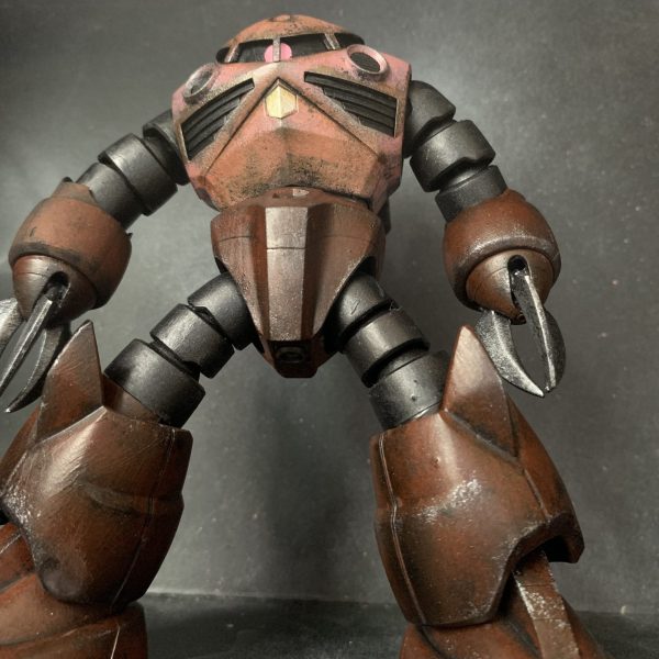 HG シャア専用ズゴック