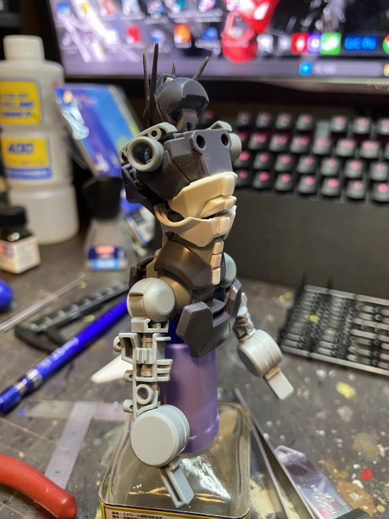 背骨有ります。