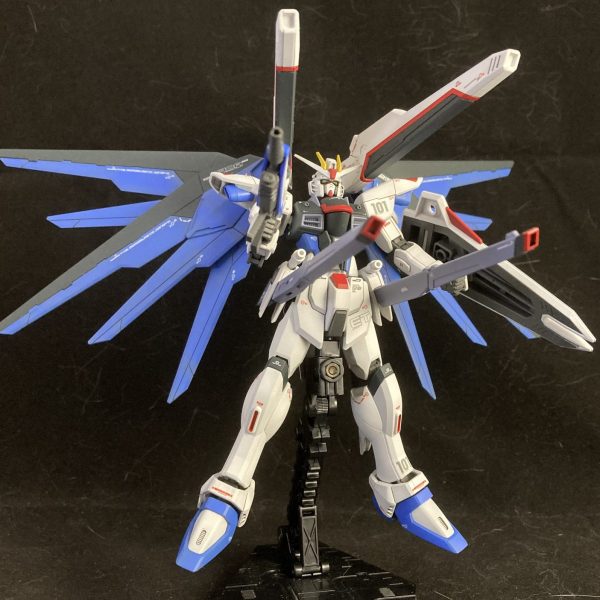 HG フリーダム ガンダム