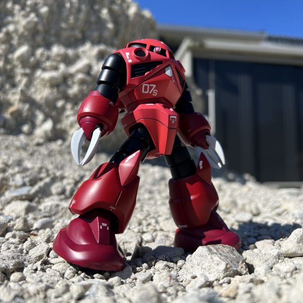 シャア専用ズゴック