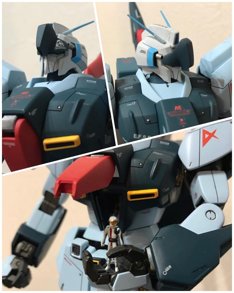 レイ大尉、いらっしゃいます♪♪😙