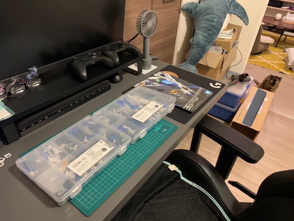 猫がいます𓃠𓈒 𓂂