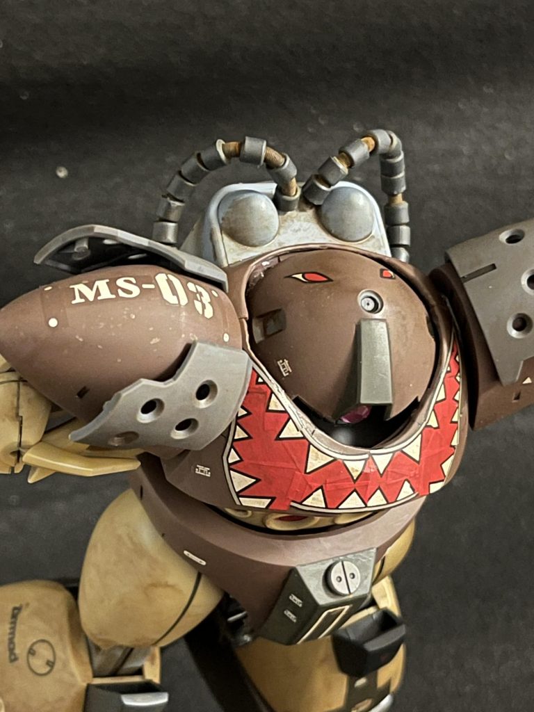 上から見るとサメの目がギラリ(✧