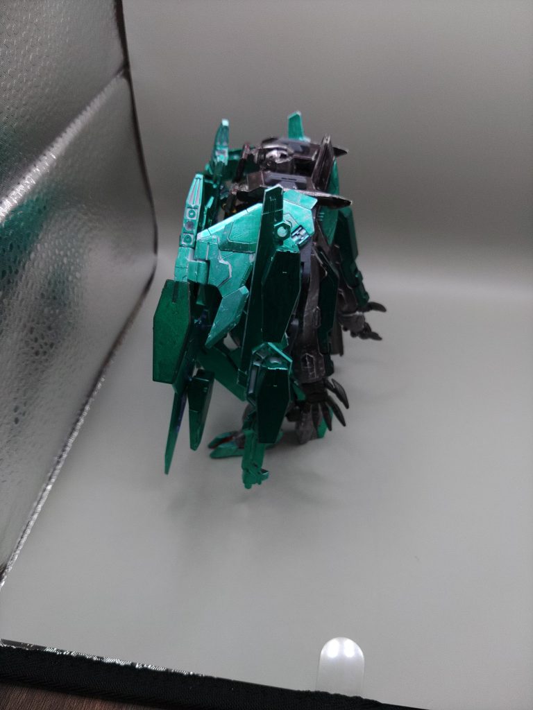 フルシールドをサイドから。これなら目を負傷しなくてよい未来があったかも(願い)