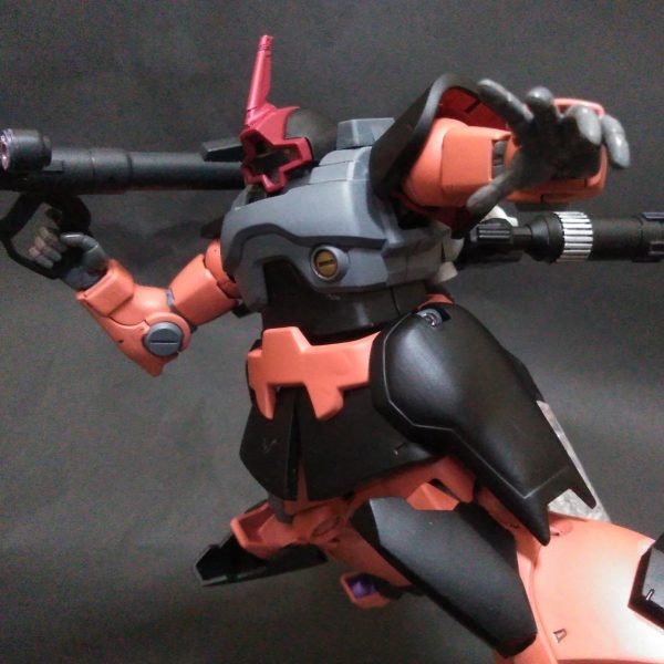 ドムソヴィニオン