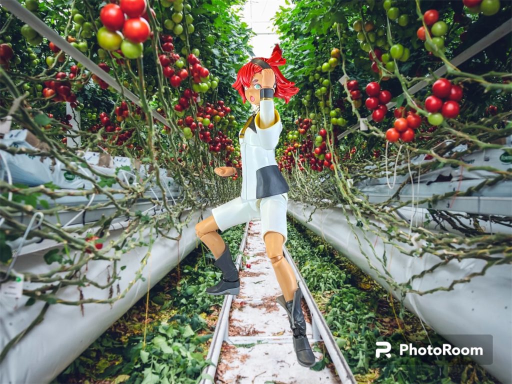 「ミオリネさんのトマト畑を荒らす人はこの私が許しません!!はあぁぁぁっ!!!」よく動くなあ!といろんなポーズをとらせているうちに思わずこんなポーズに😅ちょうどPhotoRoomの写真の中にトマト農園のものもあったので合成してみました😄