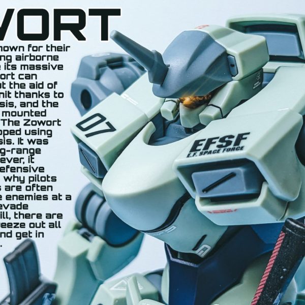 ザウォート(連邦軍所属機)