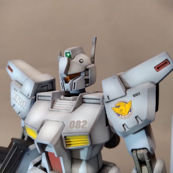 ＨＧジムカスタム