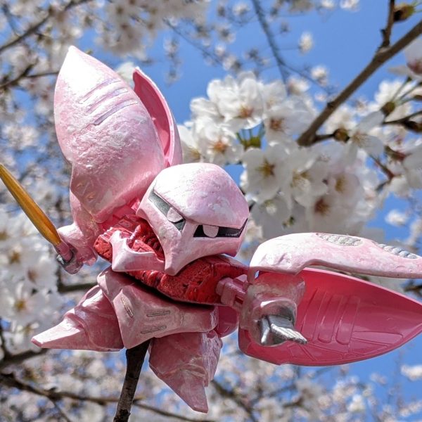 ブロッサムキュベレイ