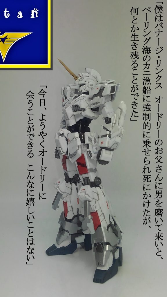 こちらはバナージだと思って見てください