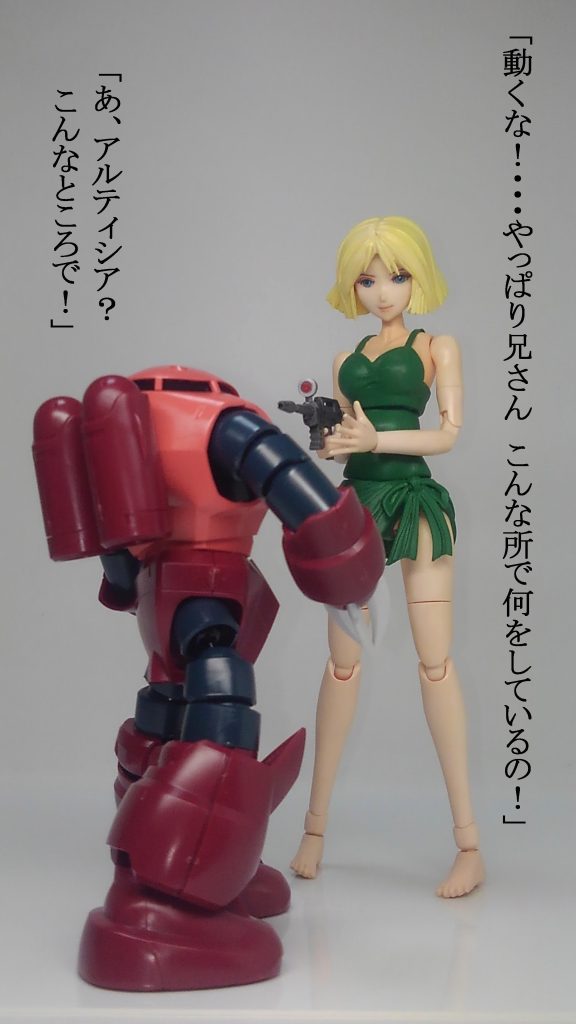 水着セイラ & シャア–5枚目/制作者:TOMSIM
