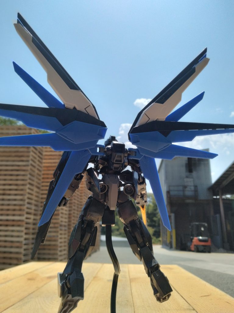 背中はいいですね!