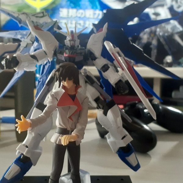 Gフレームフリーダム