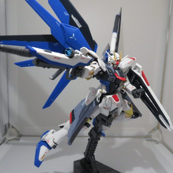 HGCE フリーダムガンダム