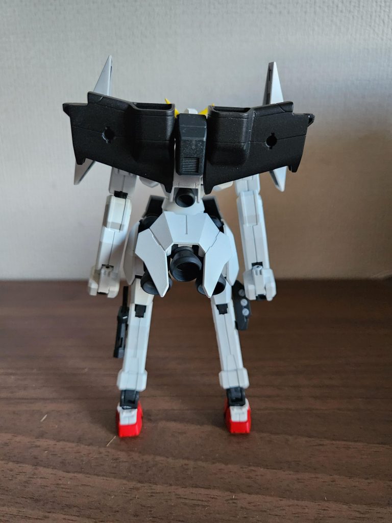 背面　自立は何とかいけます