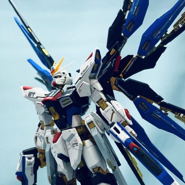 本気のRGストライクフリーダム(祝劇場版公開)