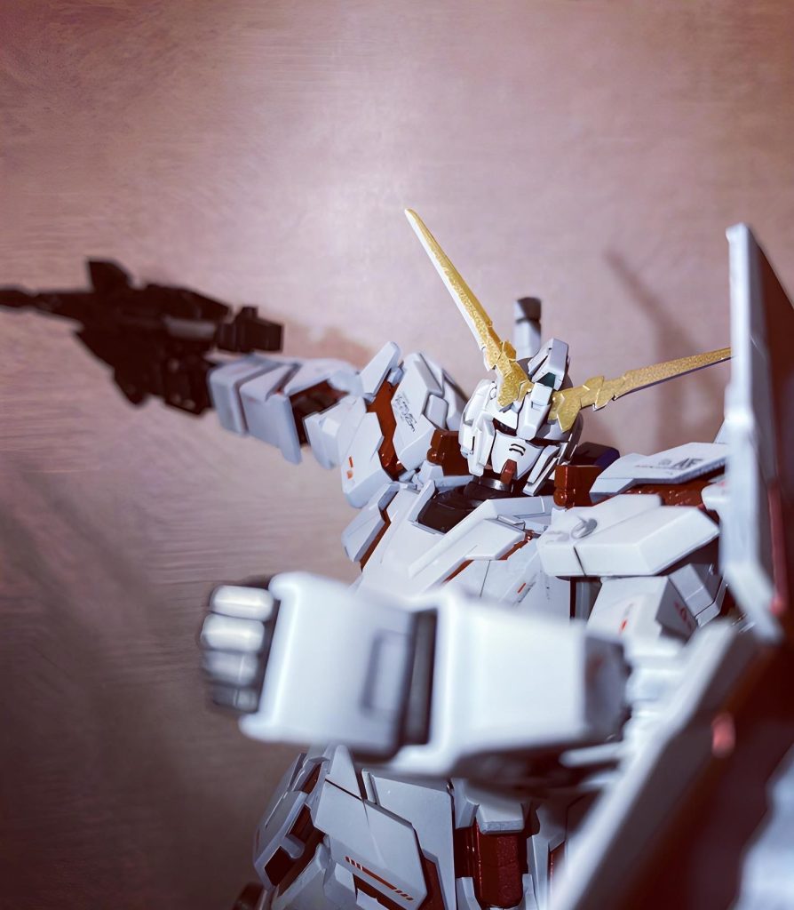 撮影ブースなど無いので家の白い壁をバックに照明を当てて撮影