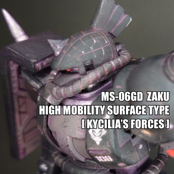 HG 高機動型ザク 地上用 [キシリア部隊機]