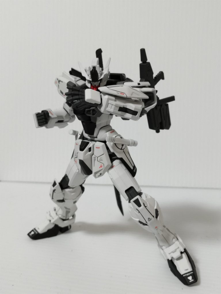 素手での格闘ポーズ