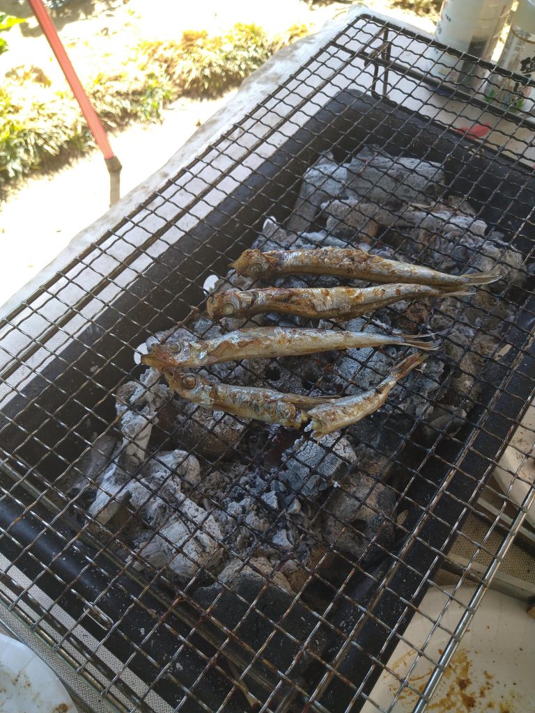 乾くまで、ししゃもを焼く…