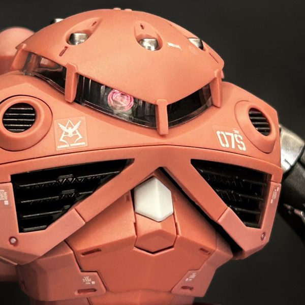 RG シャア専用ズゴック