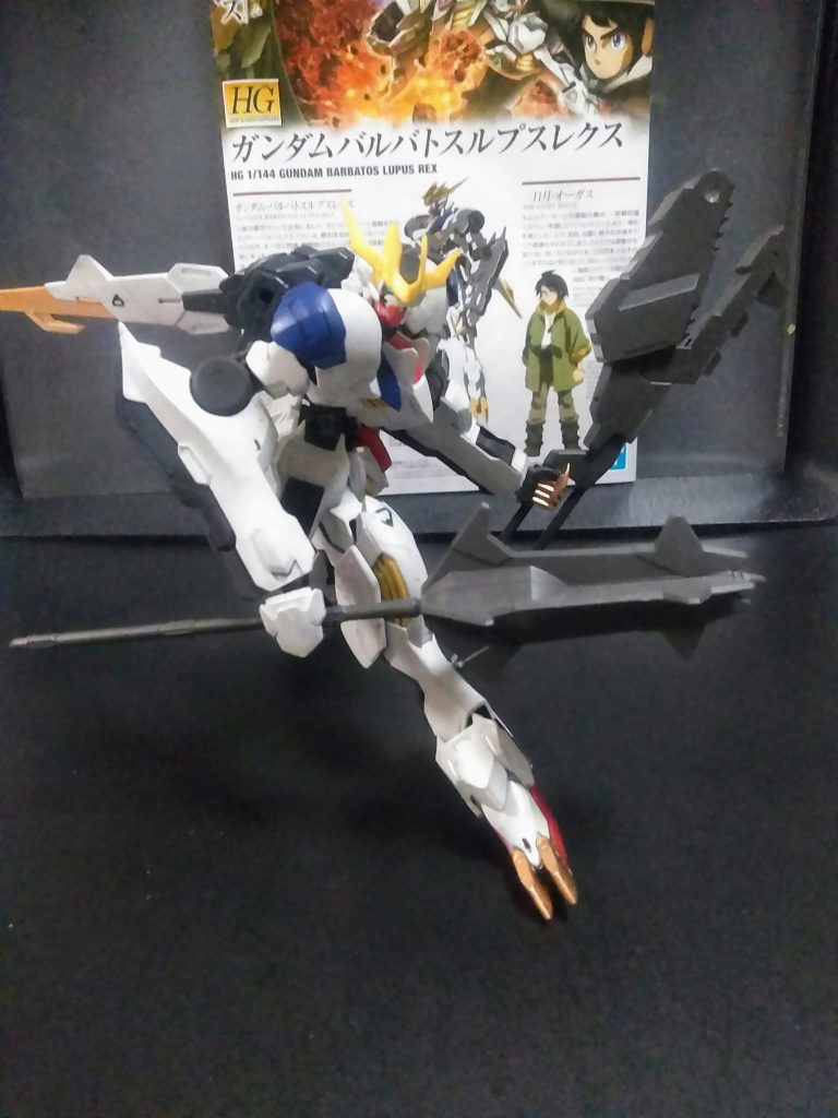 上記の様な『心の叫び』を、お持ちの方は結構いるのではないでしょうか❓　　                 最も『製作側にも都合があるんじゃ！！』と返えされておしまいでしょうね😓