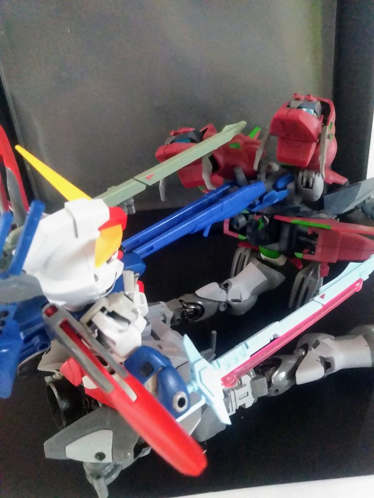 『大空中戦❗』                                                     餌を欲しがる『鯉』みたい🤣