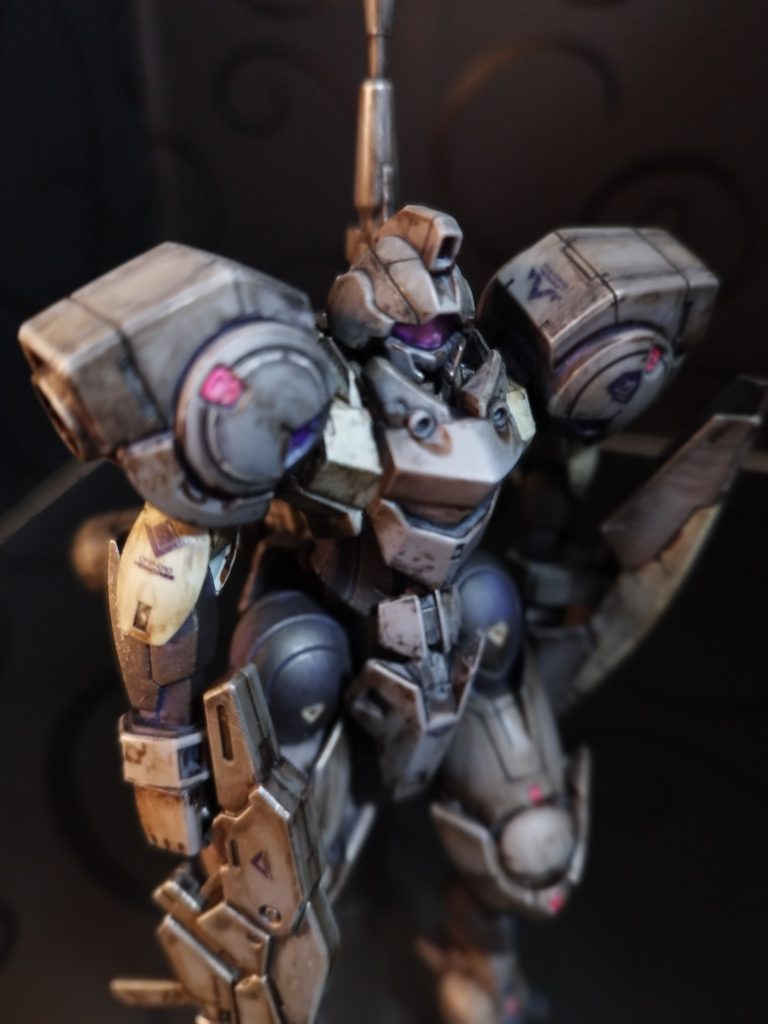 ハインドリーシュトルム……?立派な名前だねぇ……今日からアンタの名前はジムだよ!!