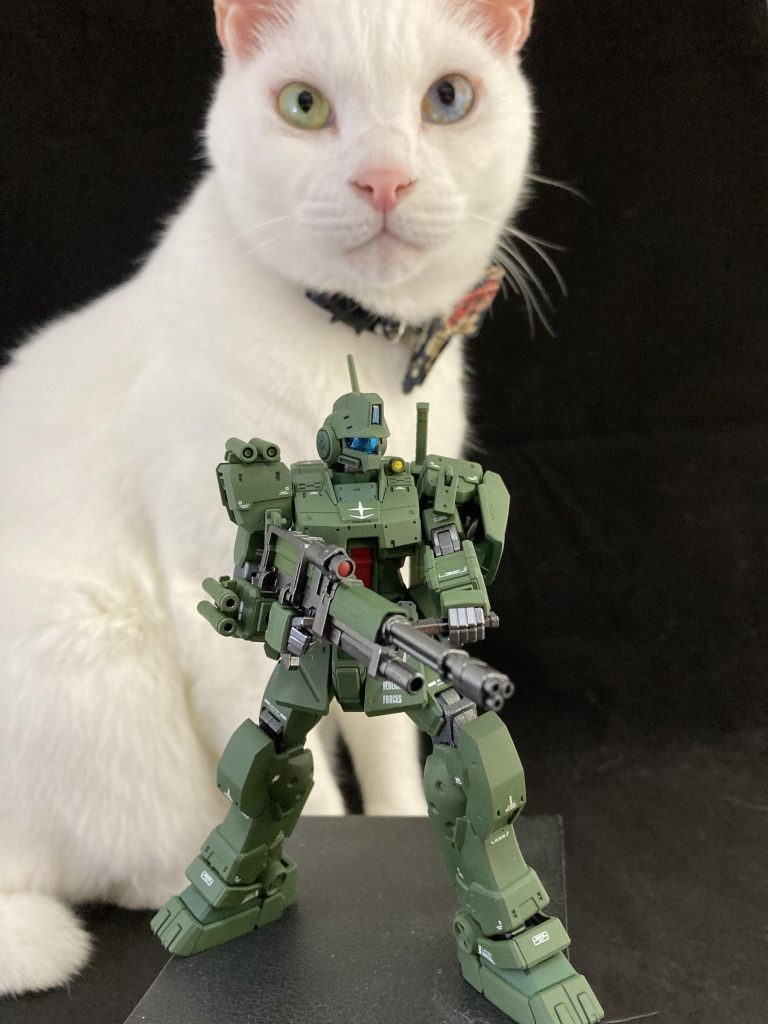 邪魔が入った🐈