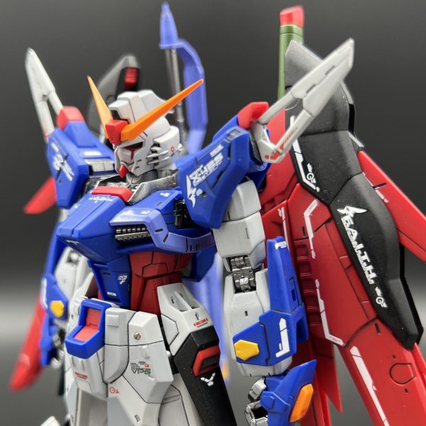 RG デスティニーガンダム HG ミキシング