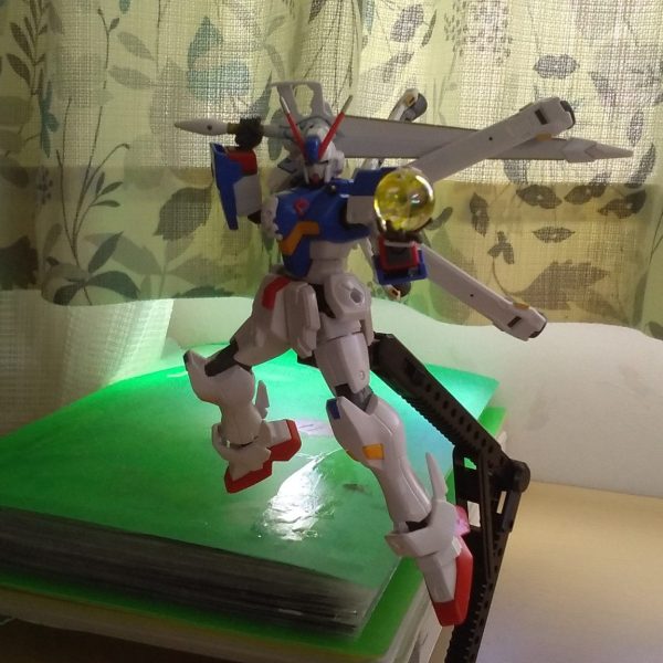 ならば 海賊らしく･･･　いただいてゆくっ！