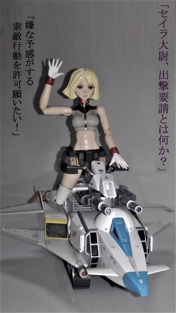 これと次の写真は、画像を暗くコントラストを強くしました。