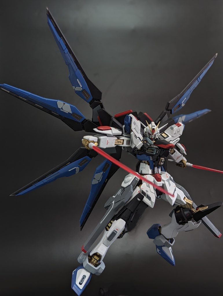 DESTINYと初対面時のポーズっぽく