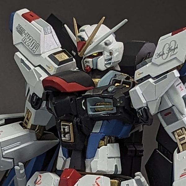 ZGMF-X20A STRIKE FREEDOM GUNDAM　理想の姿