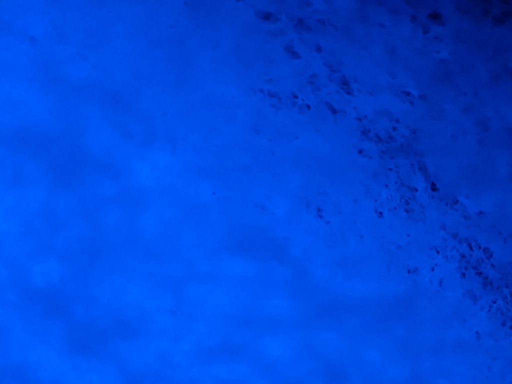 …………………！