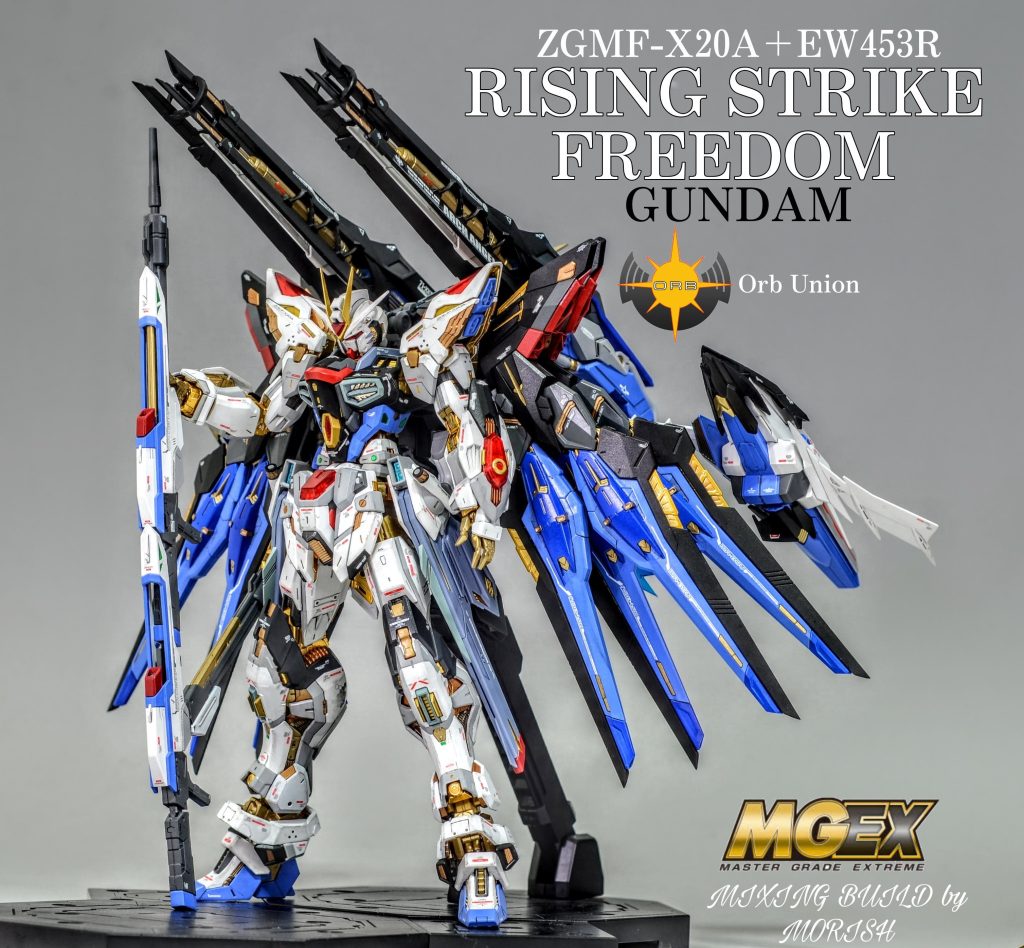 RISING STRIKE FREEDOM