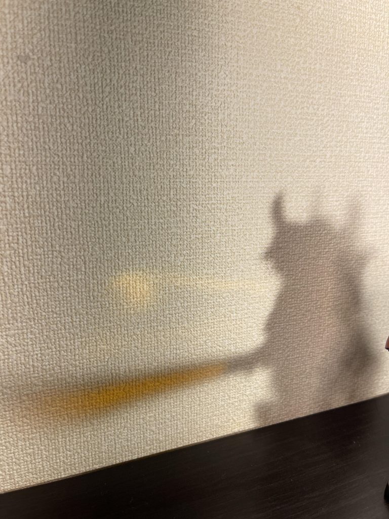 最後までご覧頂きありがとうございました。シャア専用グフ近接型でした。次回もグフでお届けしますw