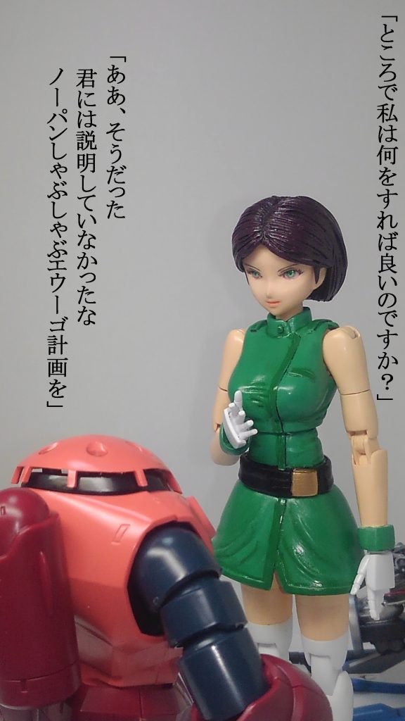 ちなみに作者はノーパンしゃぶしゃぶが、いったい何のことなのか全く分かりません