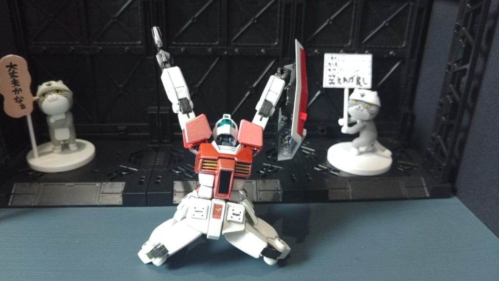 ゴール、ゴール、ゴール、ゴール、ゴール、ゴール、ゴ～～～～～～～～ルなポージング(*´∀`)♪