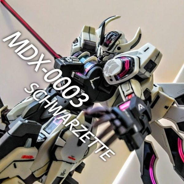 HG GUNDAM SCHWARZETTE