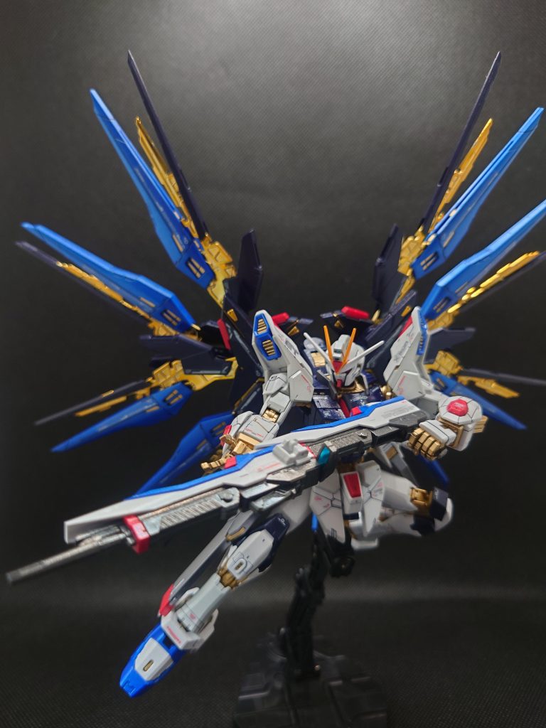 やはりこの姿がカッコいい!