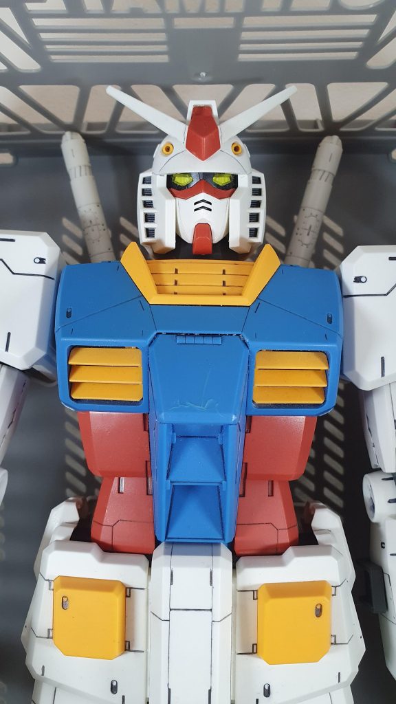 バストアップの写真。やっぱり粗が目立ちますね汗