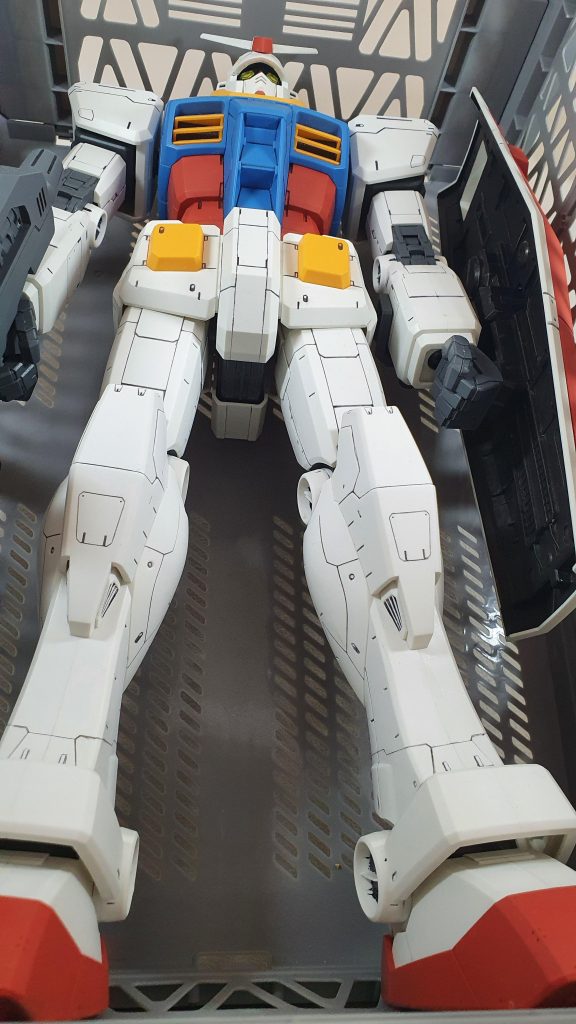 下から煽るとかなり迫力あります！家では守り神的な存在です笑